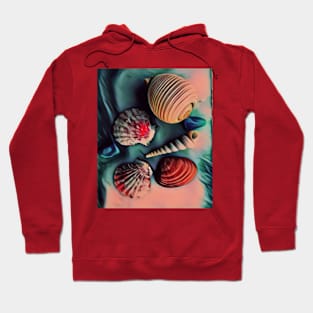 Seashells Hoodie